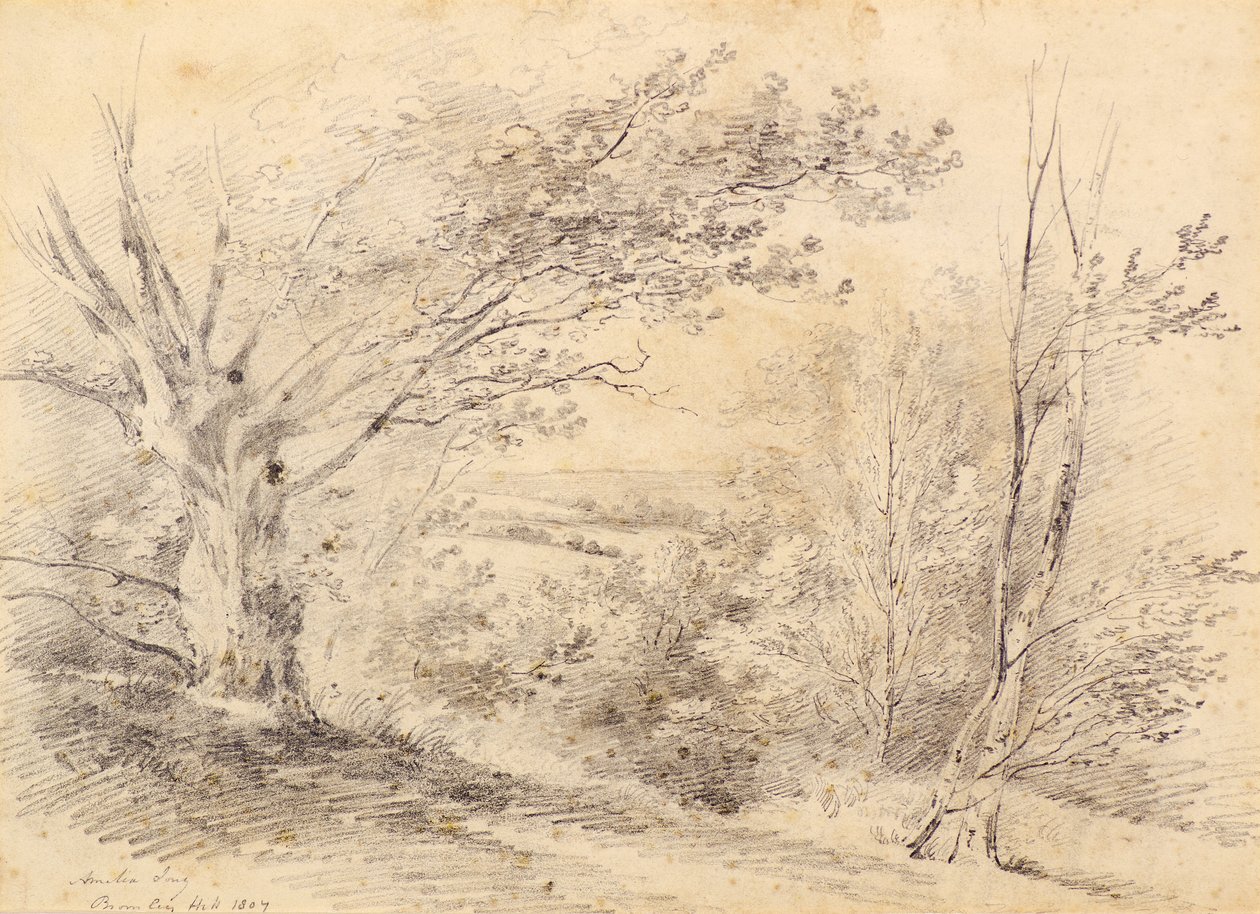 Bromley Hill door Amelia Long