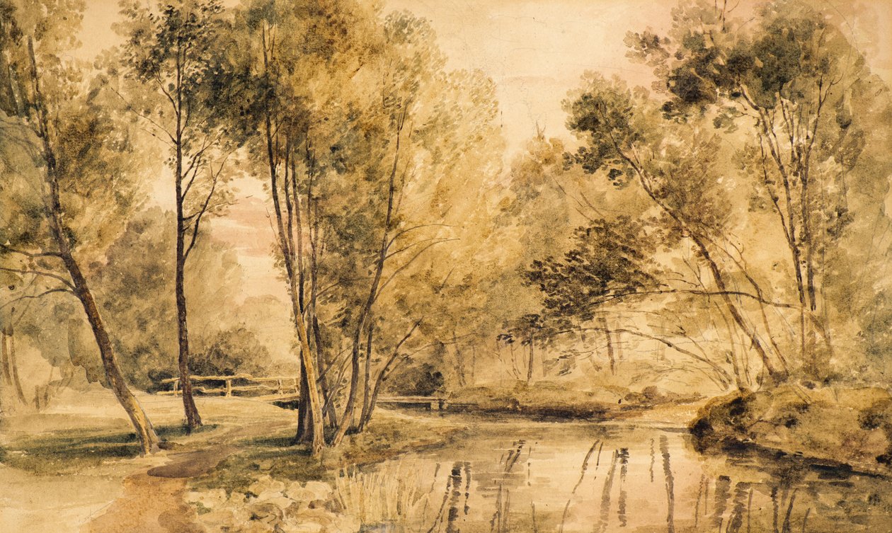 Studie van Bomen door Amelia Long