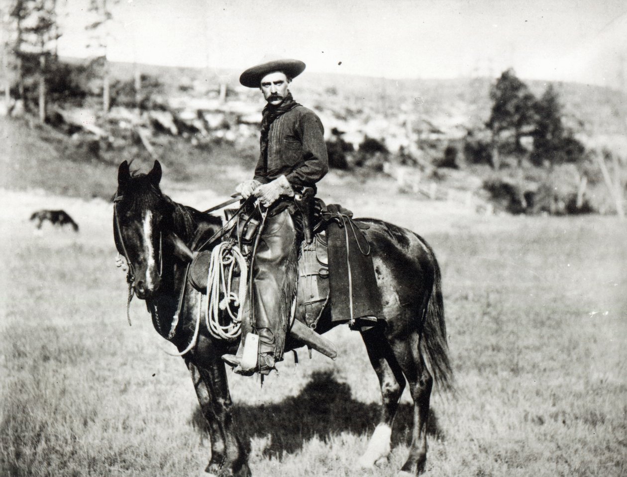 Cowboy die een paard berijdt in Montana, VS, ca. 1880 door American Photographer