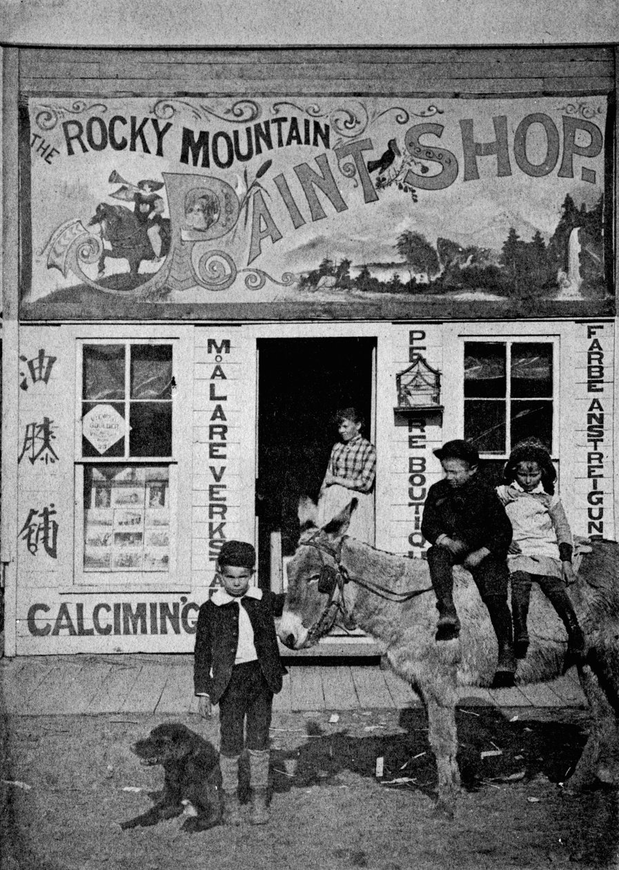 Rocky Mountain Verfwinkel, c.1880-90 door American Photographer