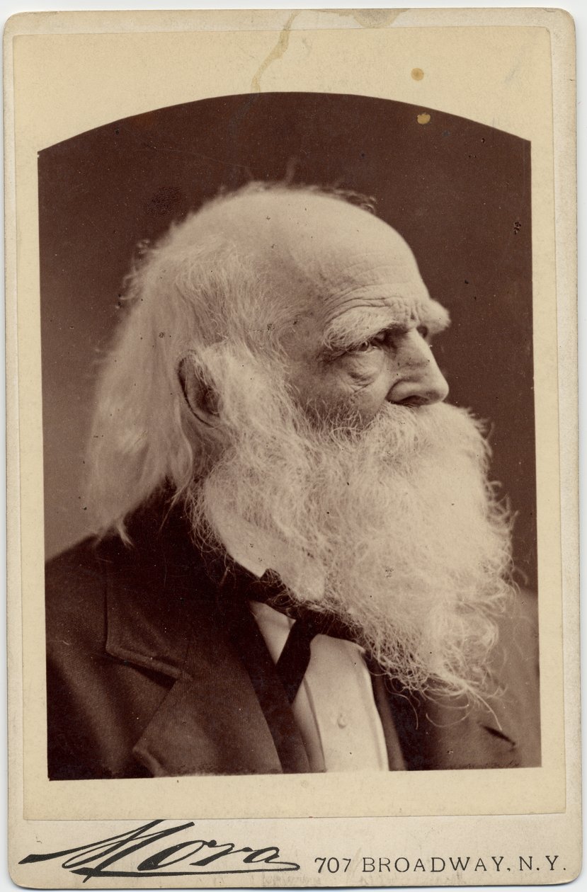 William Cullen Bryant (1794-1878), Amerikaanse dichter, foto door Albert J Mora, New York door American Photographer