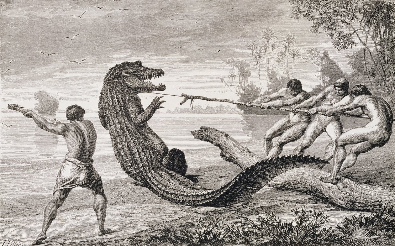 Een alligator vangen met een lasso, uit 