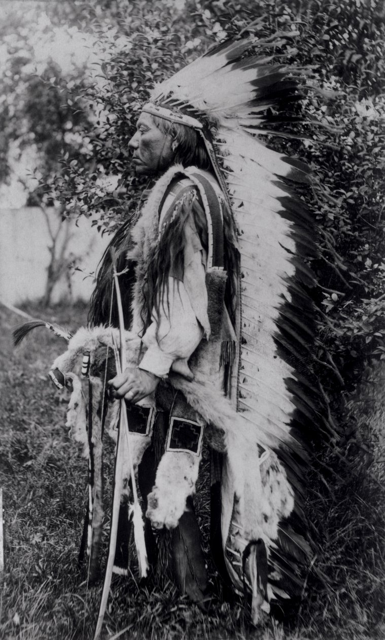 Witte Wolf, een Comanche-hoofdman, c.1891-98 door American School