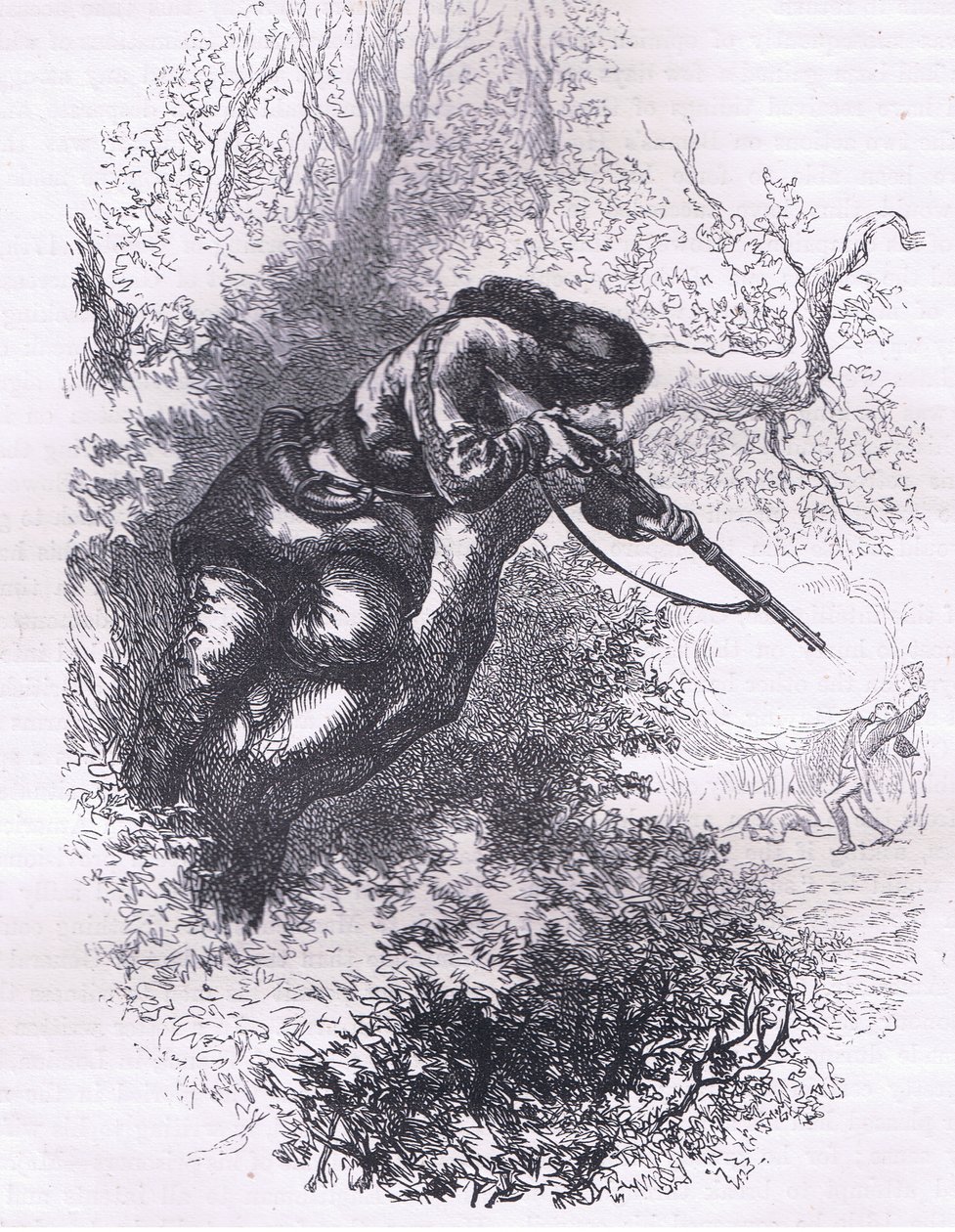 Amerikaanse scherpschutter in een boom, illustratie uit Cassells Geschiedenis van de Verenigde Staten uitgegeven door Cassell, Petter & Galpin, c.1900 door American English school
