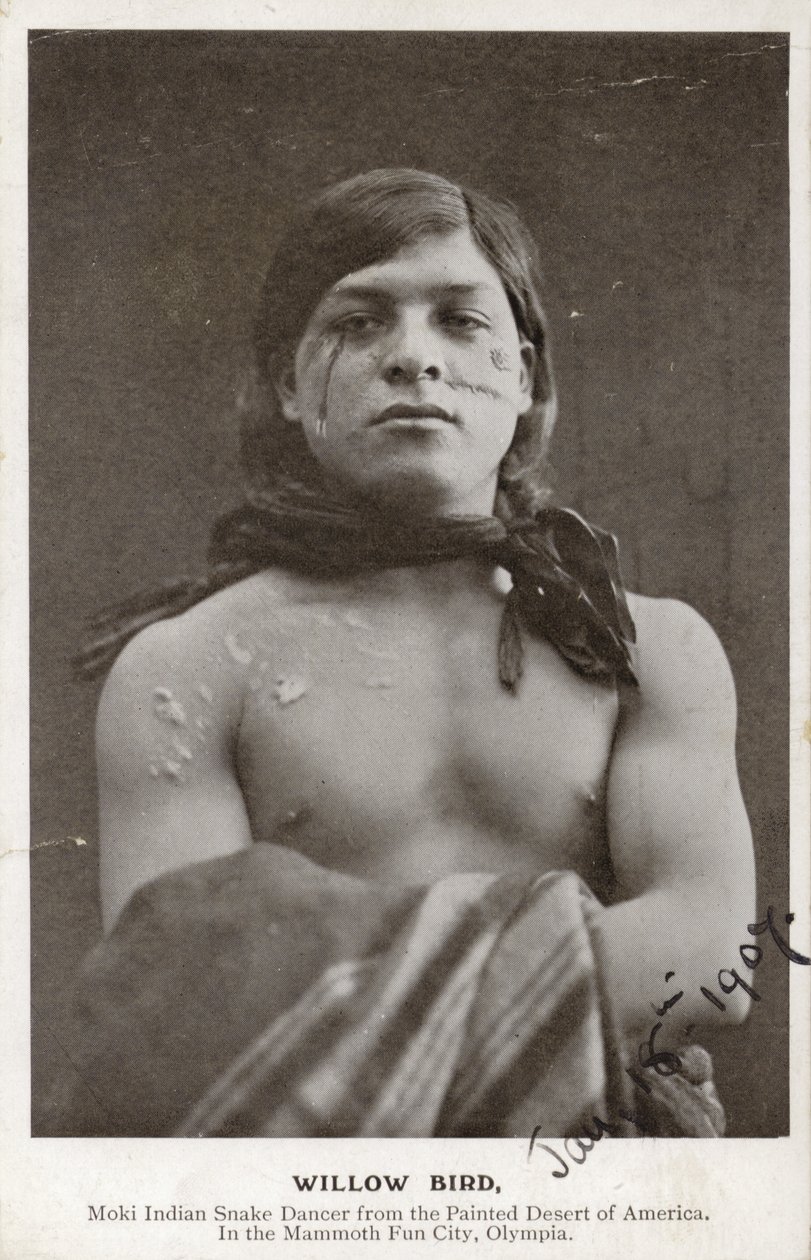 Willow Bird - Moki Indiaanse slangendanser uit de geschilderde woestijn van Amerika (z/w foto) door American Photographer