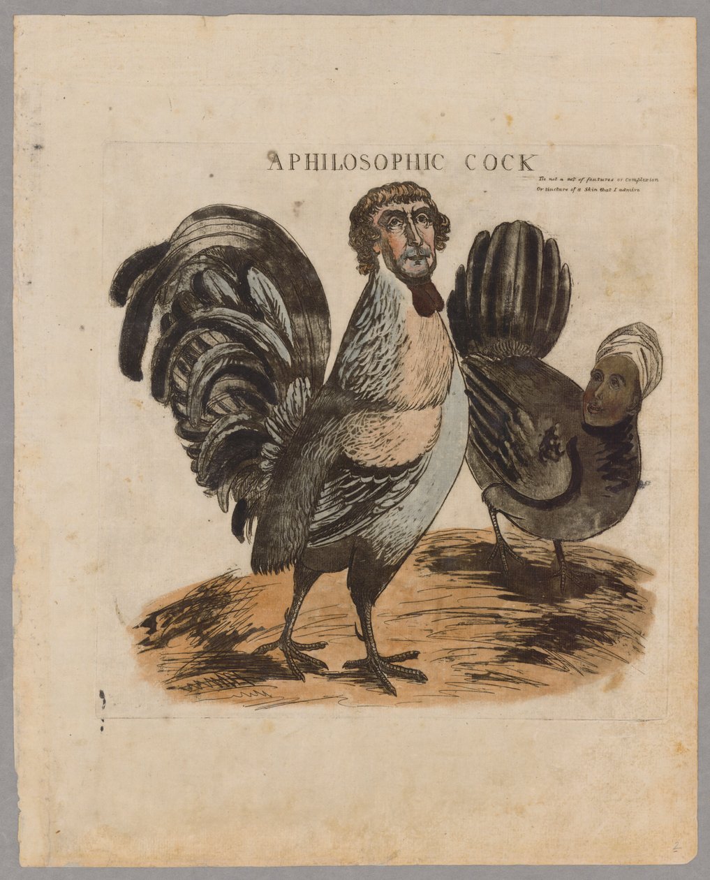 Een Filosofische Haan, 1804 door American School