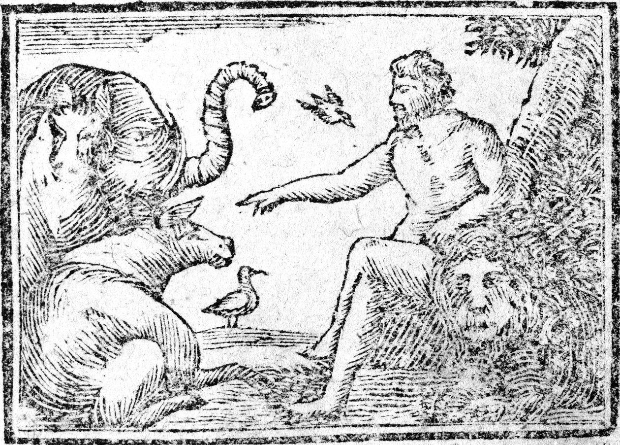 Adam die de dieren benoemt, illustratie uit Een verkorting van de geschiedenis van de Heilige Bijbel, gepubliceerd 1794 door American School