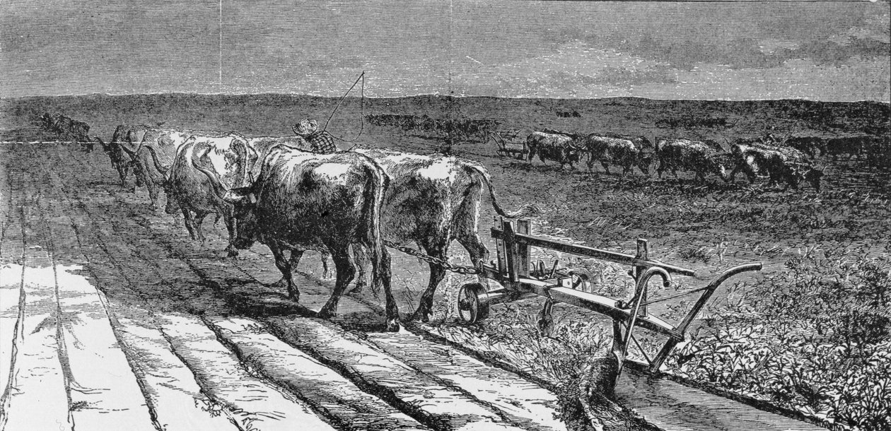 Het breken van de prairie, illustratie uit 