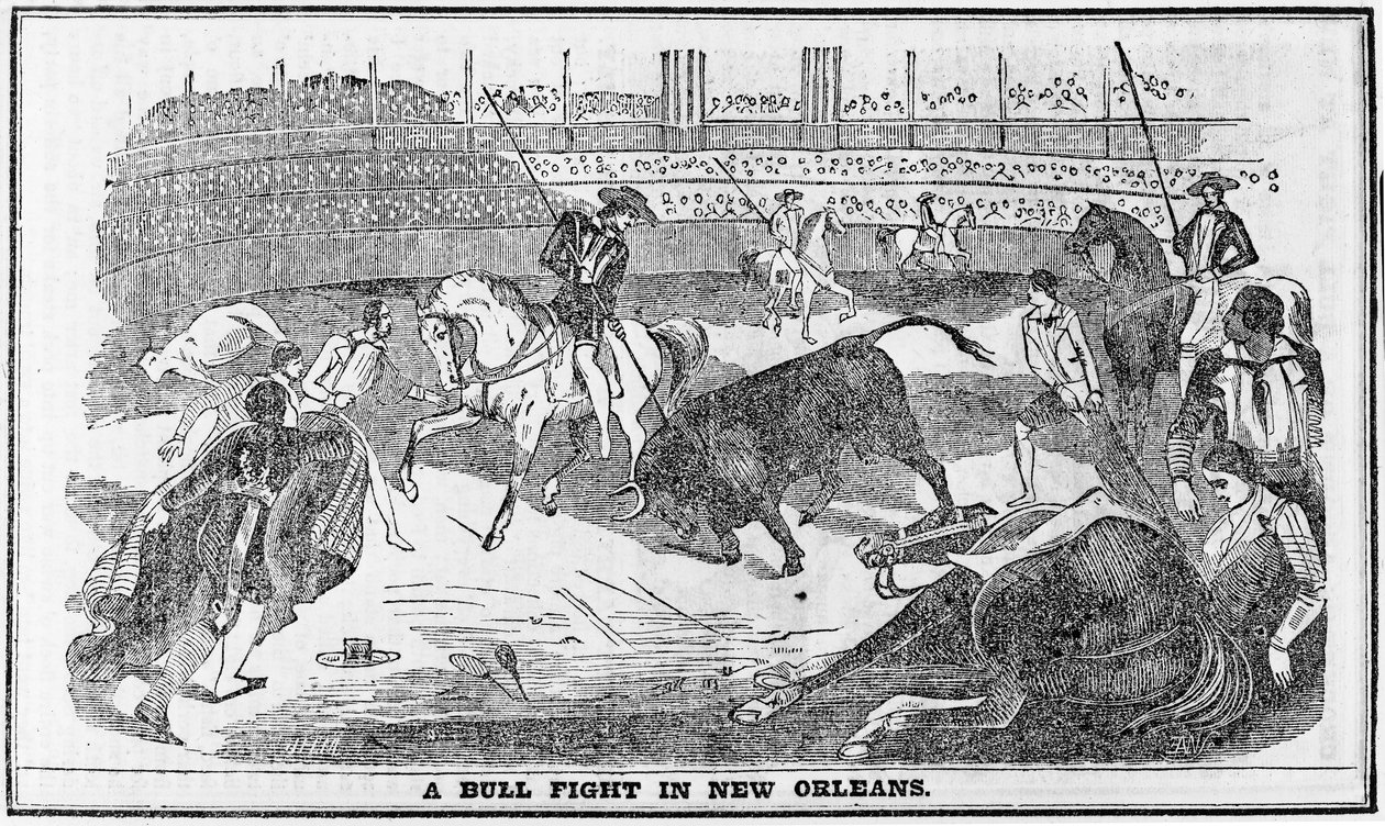 Stierengevecht in New Orleans, uit Davy Crocketts Almanack, Boston, 1849 door American School