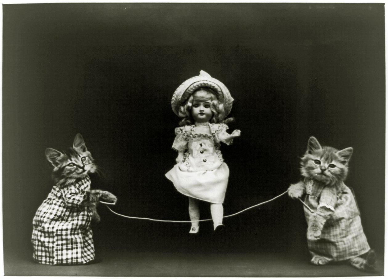Kattennieuwsgierigheid, 1891 door American School