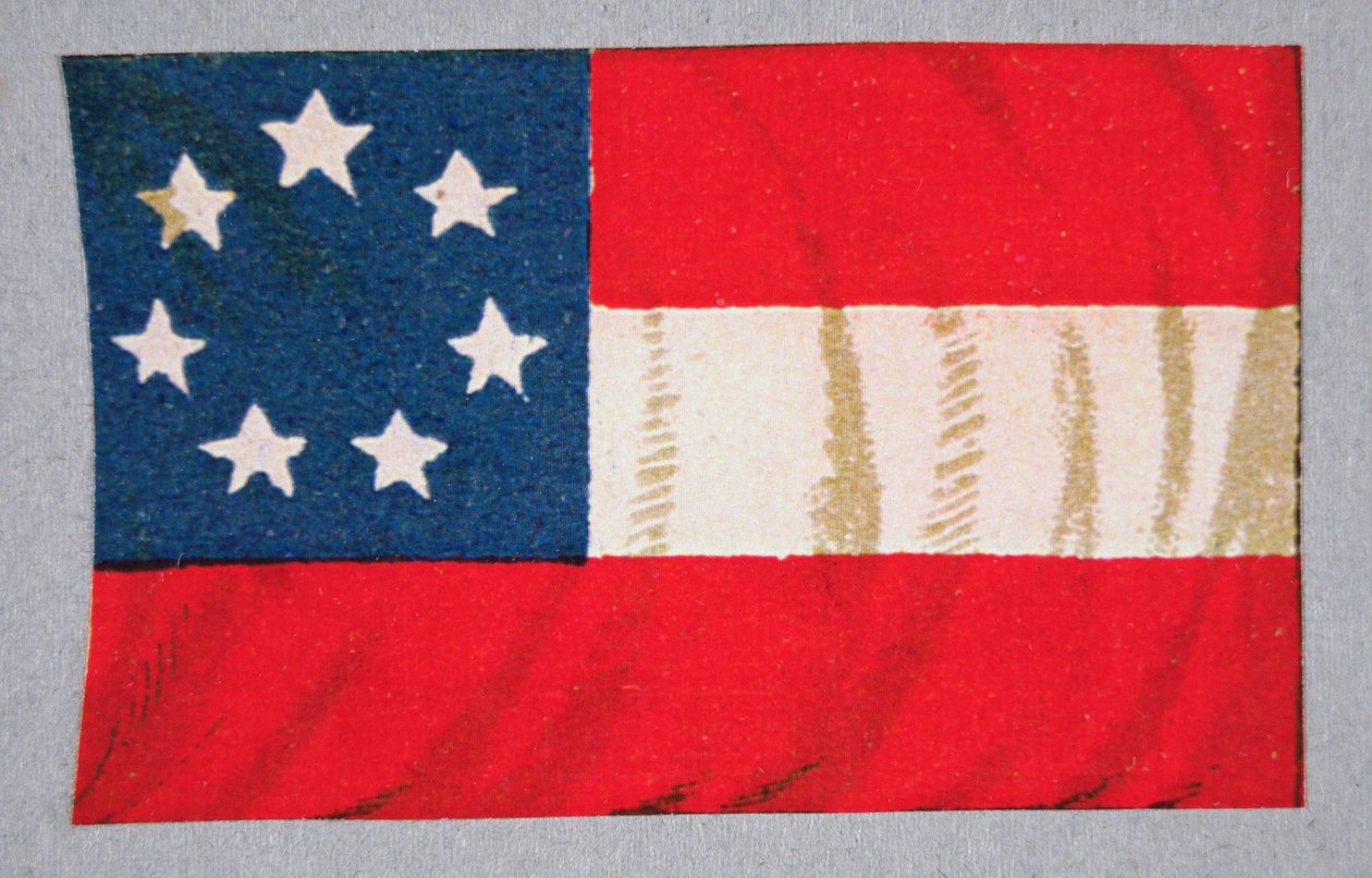 Vlag van de Geconfedereerde Staten van Amerika door American School