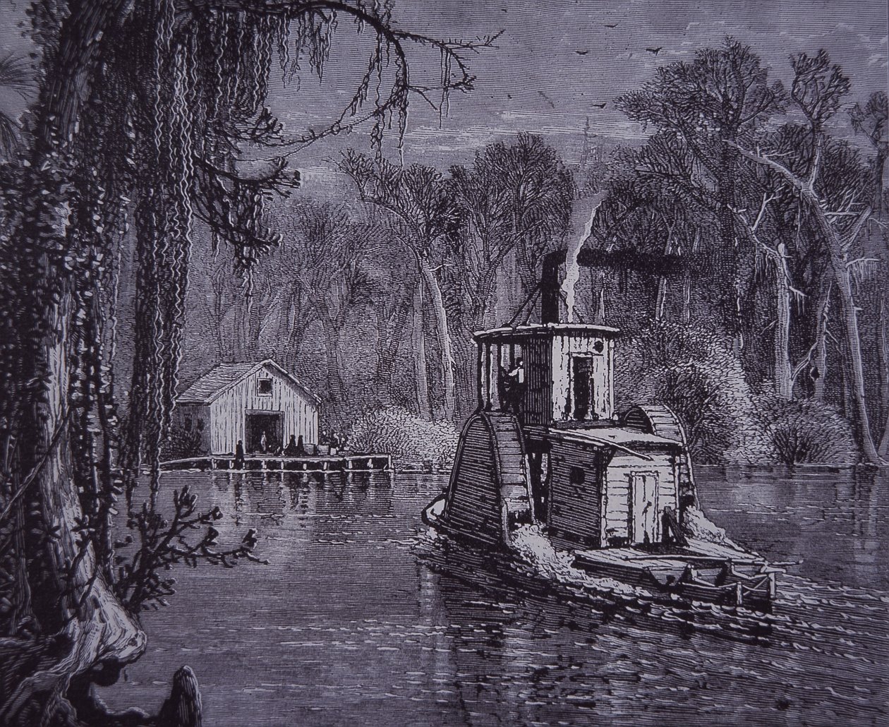 Florida Everglades scène door American School