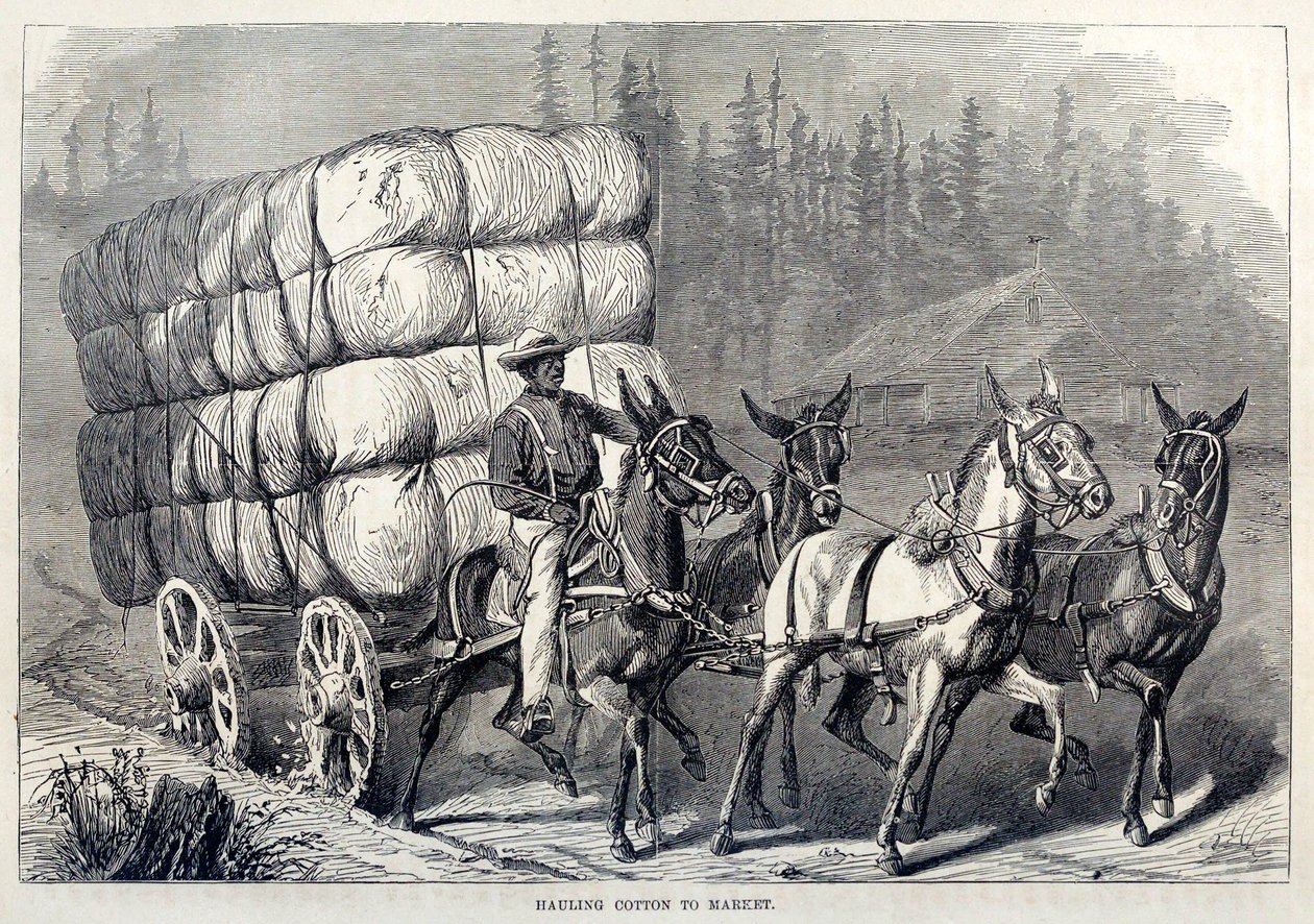 Katoen naar de markt brengen, uit One Hundred Years