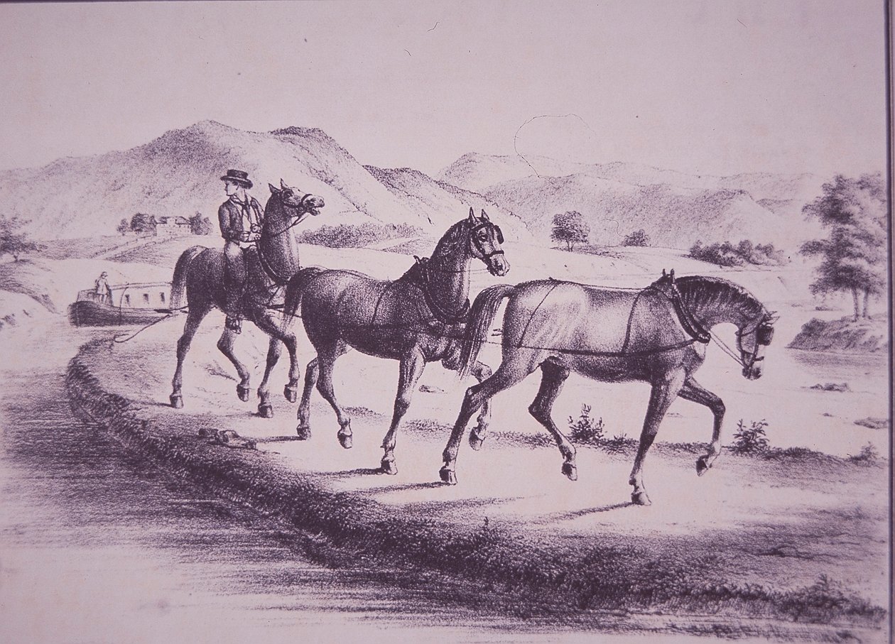 Paarden trekken een kanaalboot op het Erie-kanaal (gravure) door American School