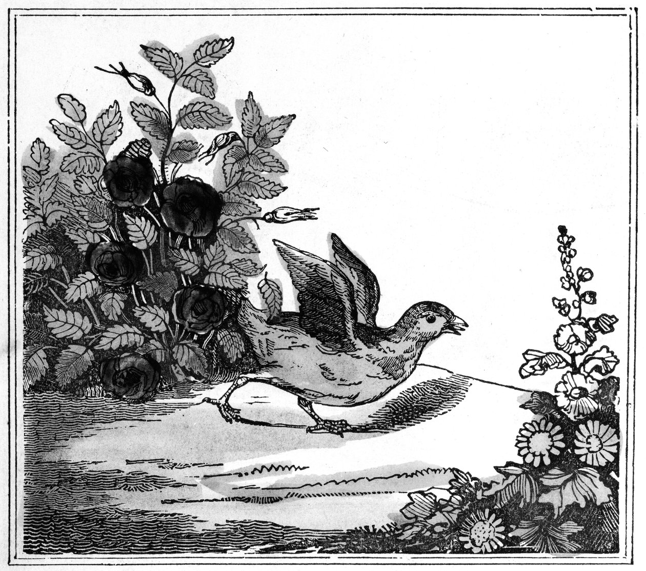 Illustratie uit het opmerkelijke verhaal van Chicken Little, 1840 door American School