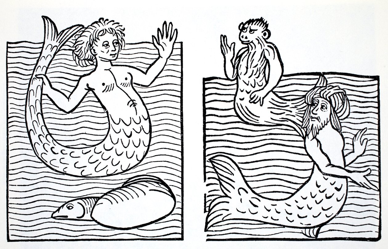 Zeemeerminnen en Zeemeermannen, uit The World Guide to Gnomes, Fairies, Elves and Other Little People door Thomas Keightley (1789-1872) gepubliceerd 1880 (ZW gravure) door American School
