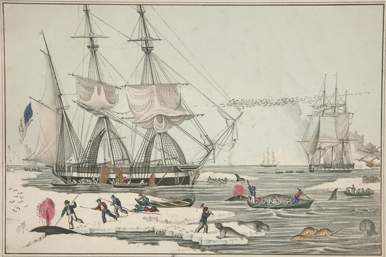 Noordzee Walvisvangst, uitgegeven 1860 (kleur litho) door American School