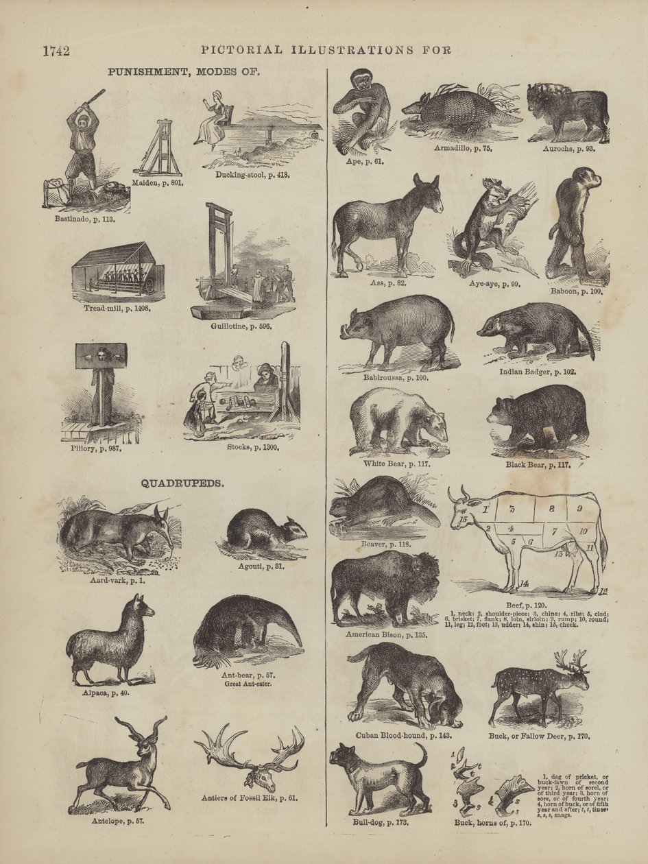 Pagina uit Websters Complete woordenboek (George Bell door American School