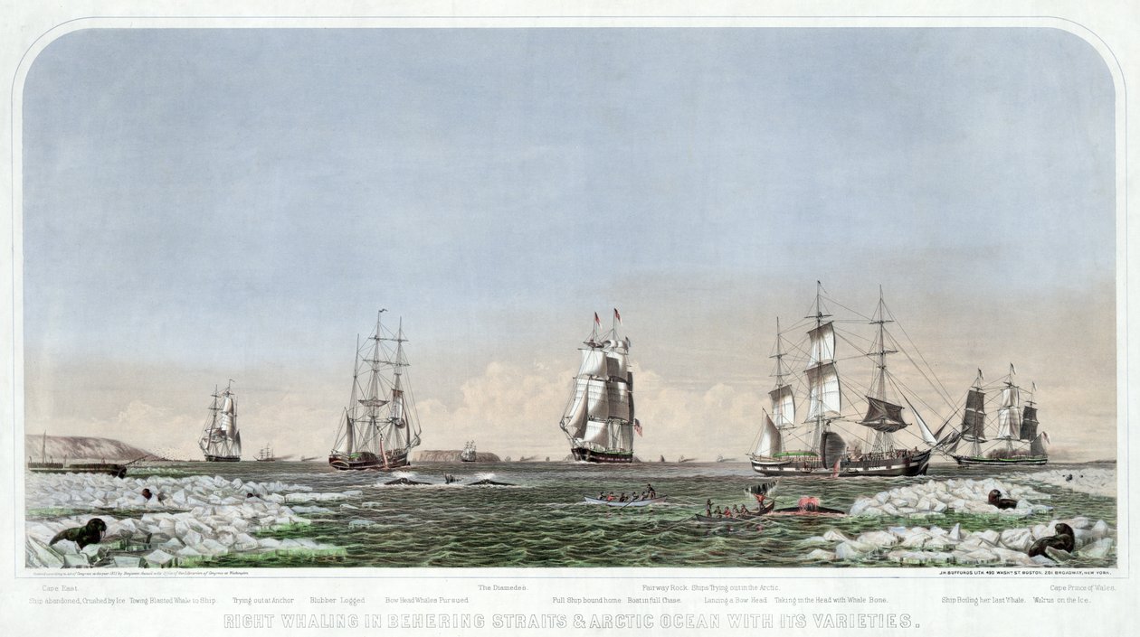 Rechtse Walvisvangst in de Beringstraat en de Noordelijke IJszee met zijn Variëteiten, gepubliceerd 1871 door American School