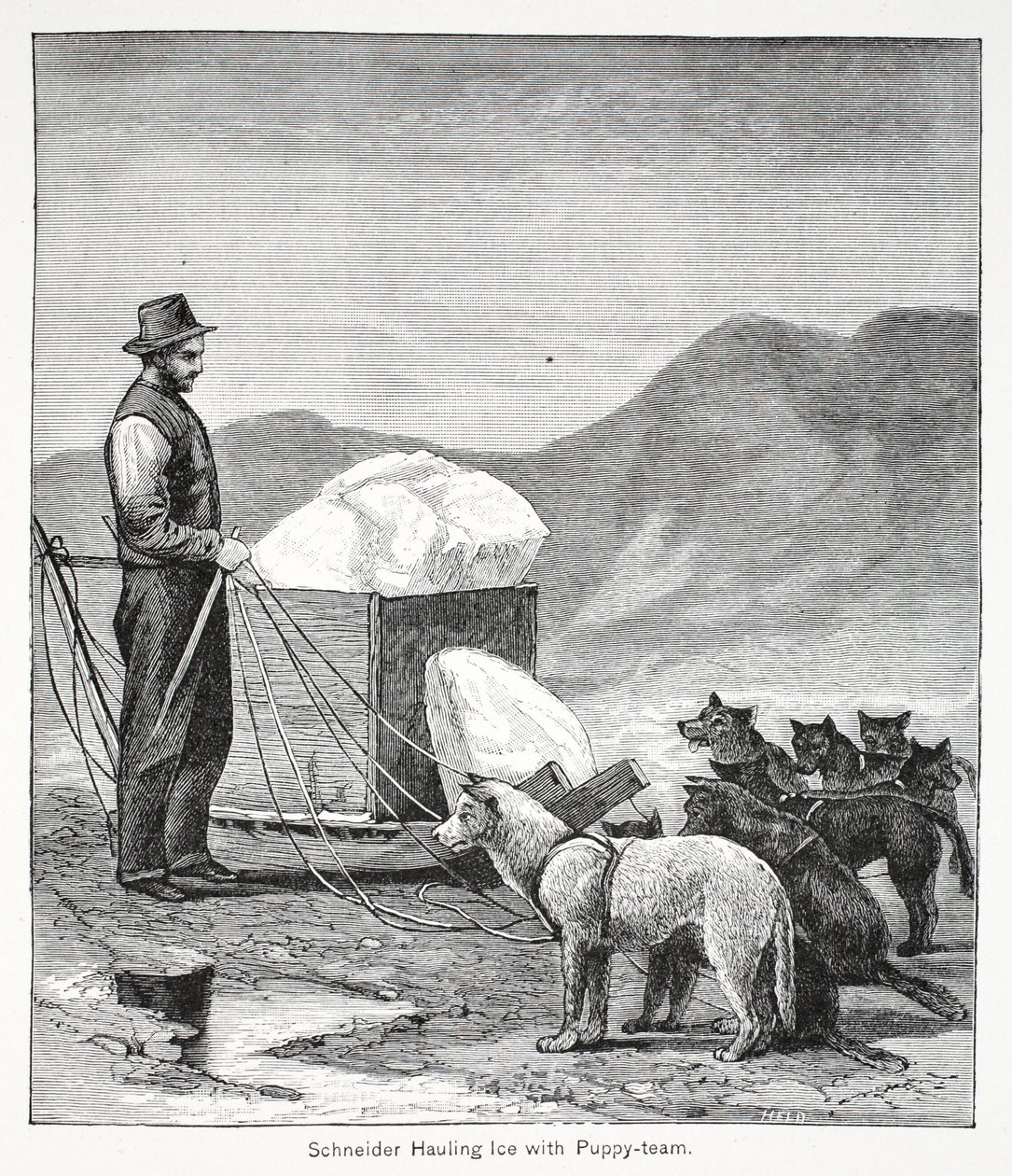 Schneider die ijs sleept met het puppy-team, Londen 1886 door American School
