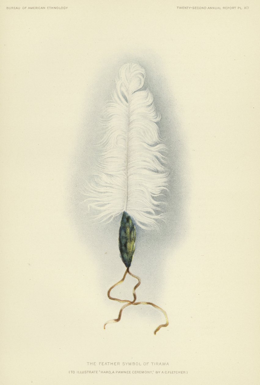 Het verensymbool van Tirawa (kleurenlitho) door American School