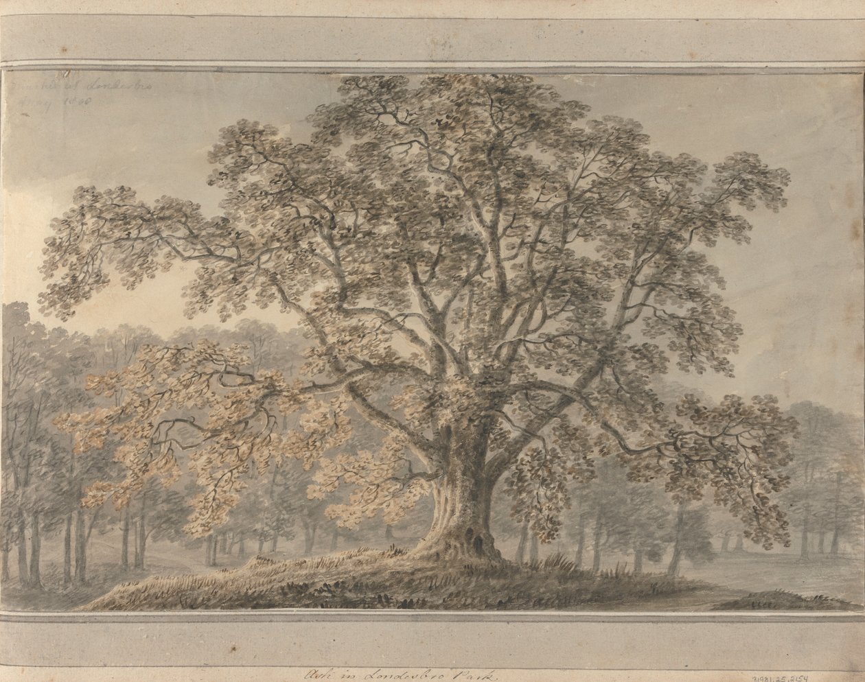 Uitzichten in Engeland, Schotland en Wales: Ash in Londesbro Park, mei 1800 door Amos Green