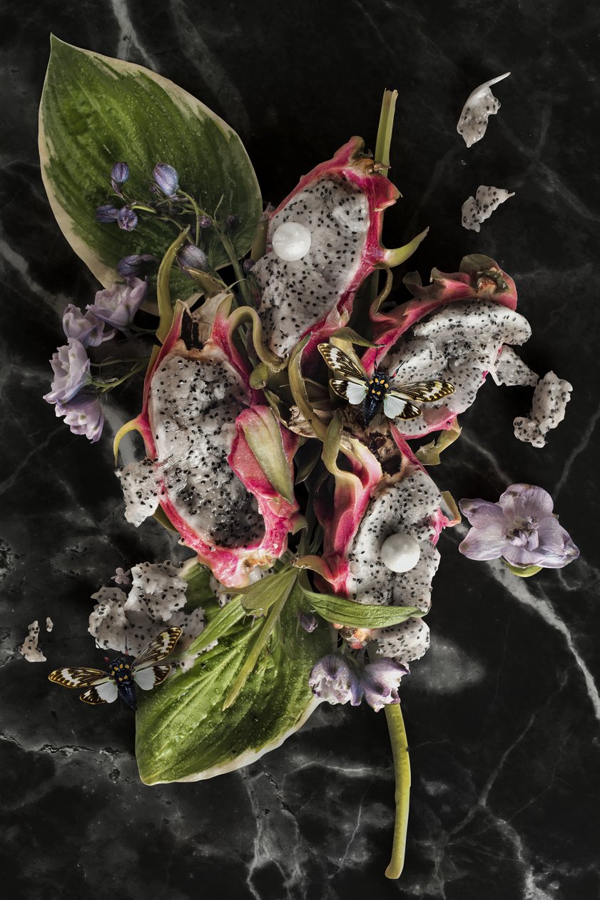 Eva_08, 2016 (Fotografie) door Ana Carolina Tavares Mizrahi