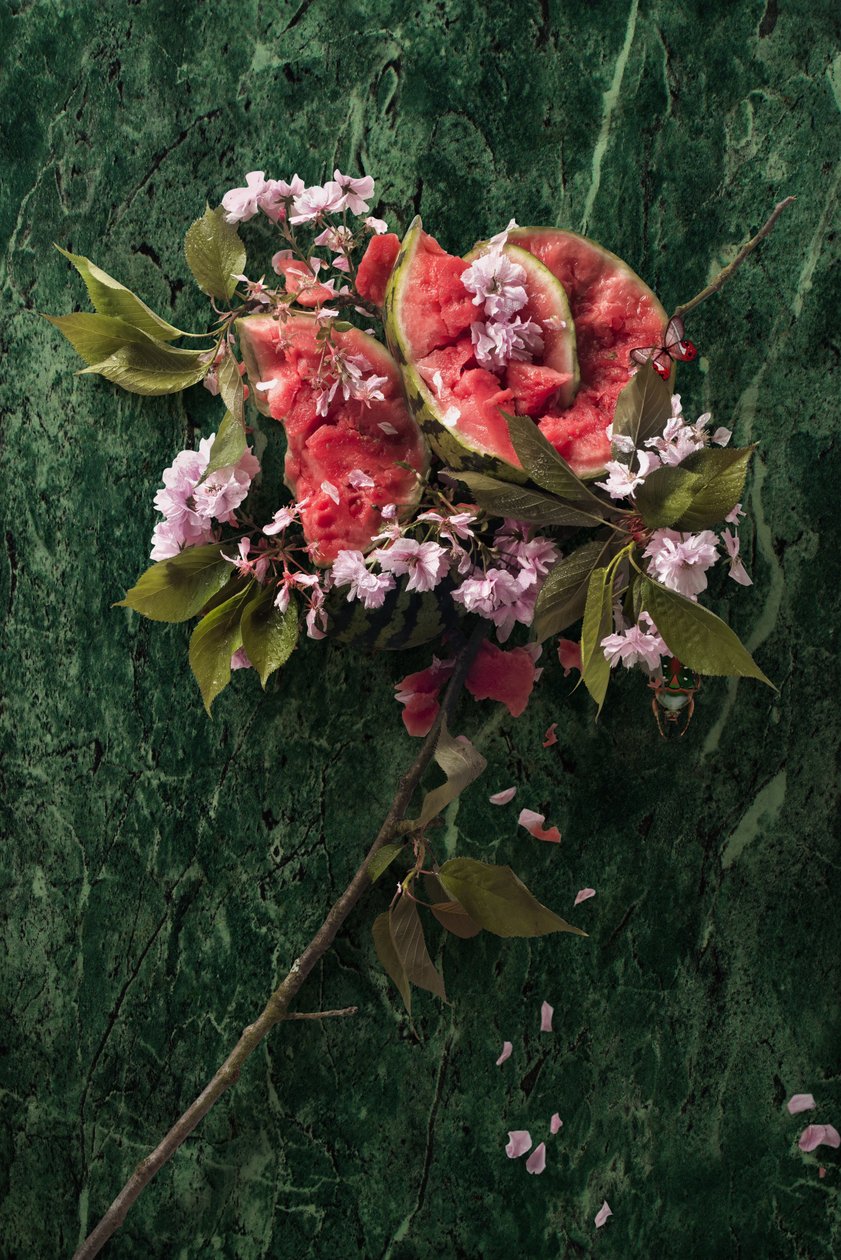 Eva_09, 2016 (Fotografie) door Ana Carolina Tavares Mizrahi