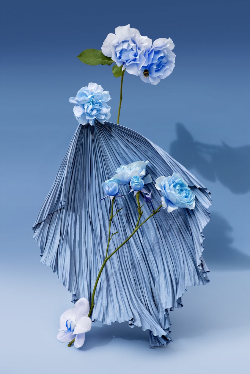 Ikebana 03, 2018 (fotografie) door Ana Carolina Tavares Mizrahi