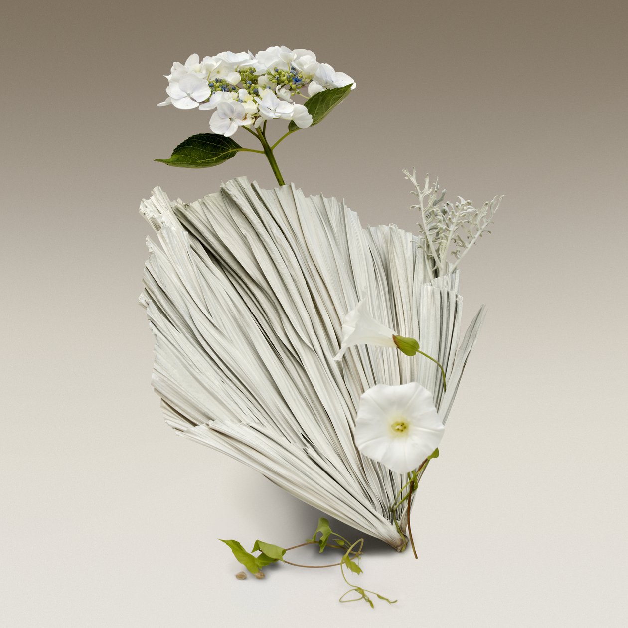 Ikebana 08, 2018 (fotografie) door Ana Carolina Tavares Mizrahi
