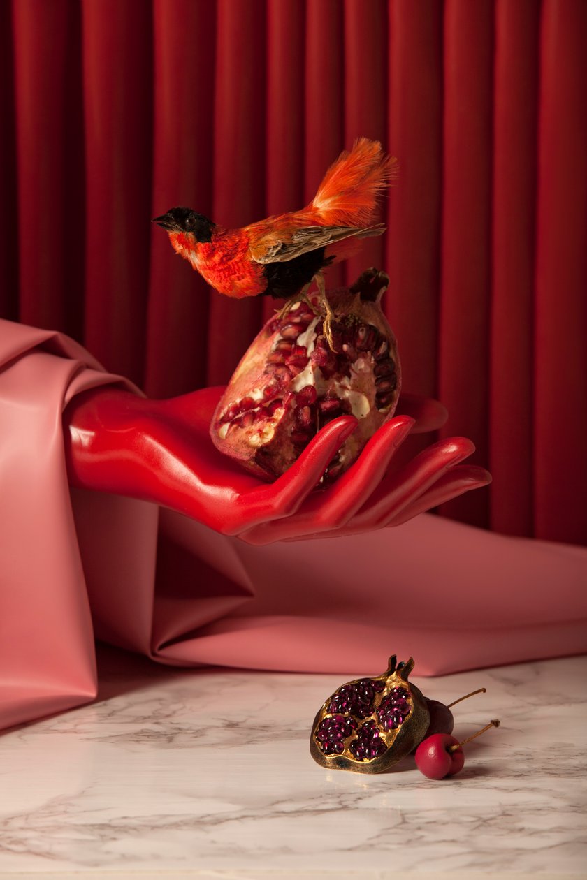 Rubi_07, 2015 (fotografie) door Ana Carolina Tavares Mizrahi