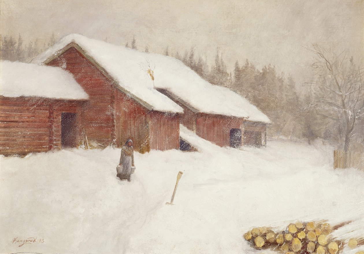 Sneeuwdrift door Anders Kongsrud