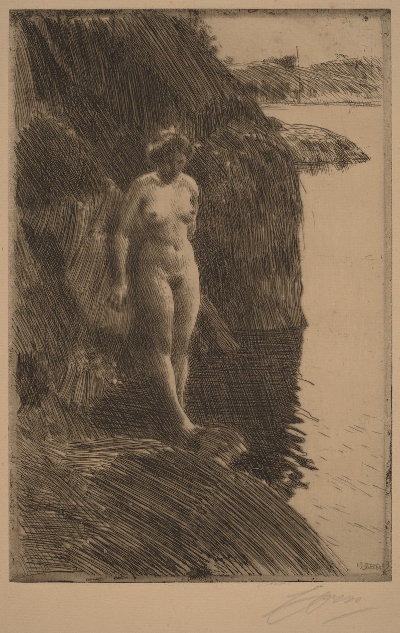 Afgrond door Anders Zorn