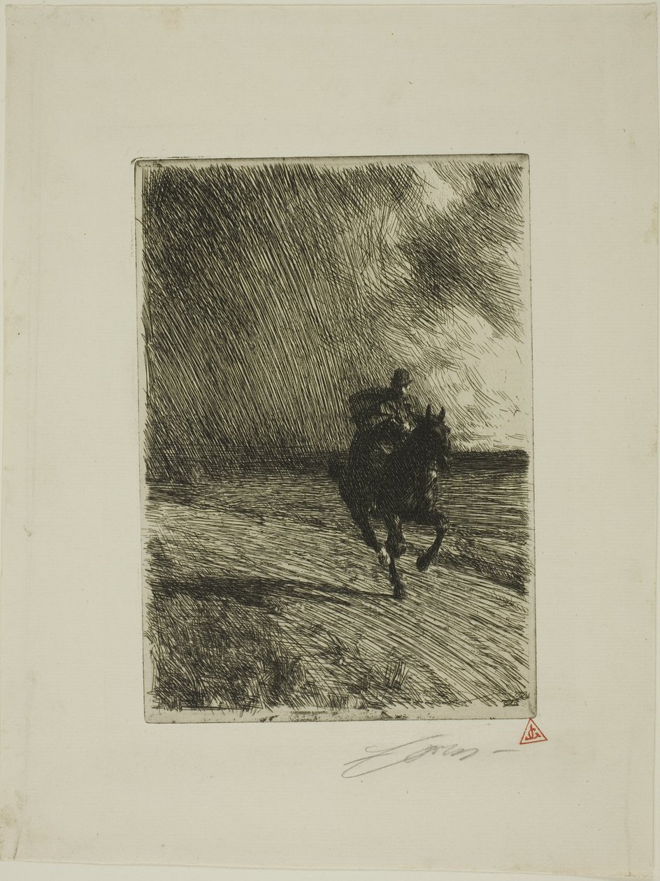 Storm door Anders Leonard Zorn