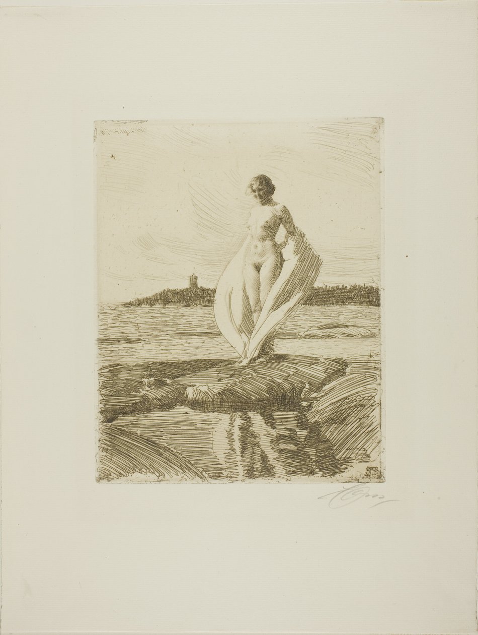 De zwaan door Anders Leonard Zorn
