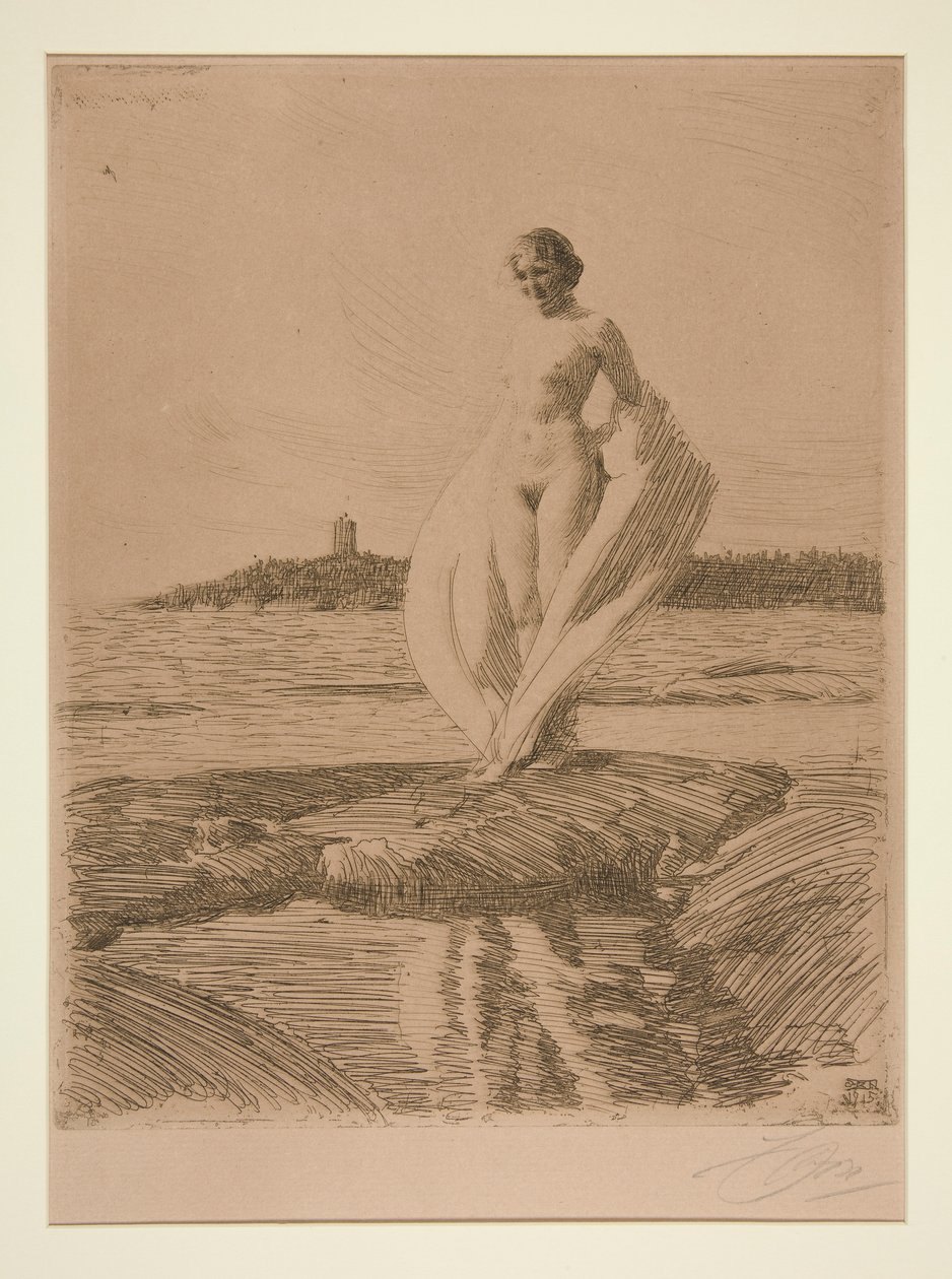 De Zwaan door Anders Leonard Zorn