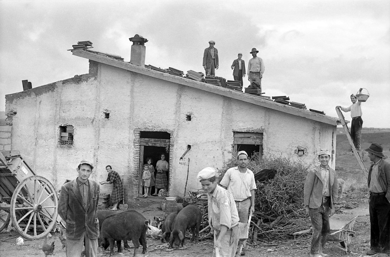 DE BEDEKKING VAN HET DAK VIEREN, door Ando Gilardi