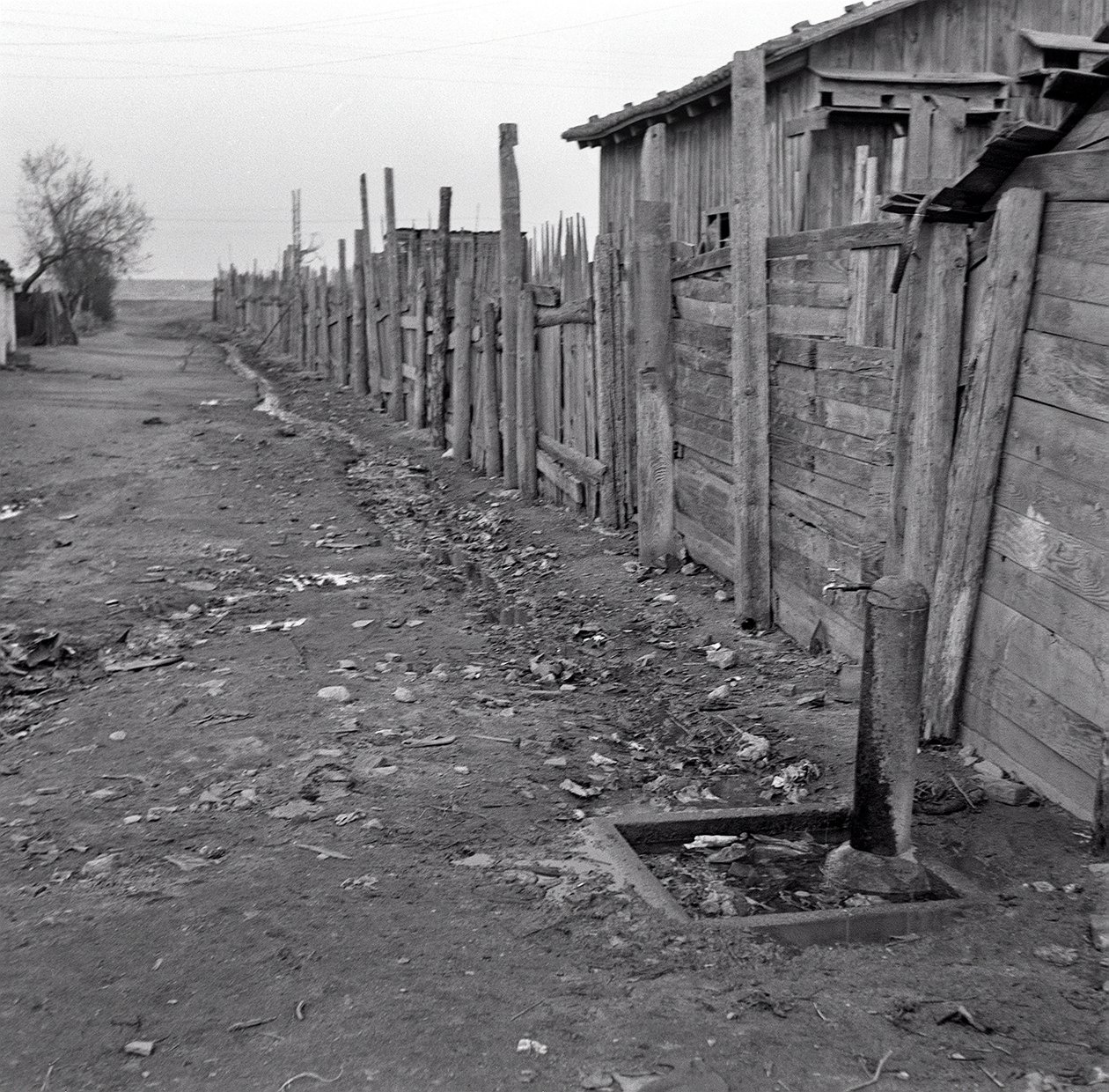 EINDE KWARTAAL SHANGHAI door Ando Gilardi