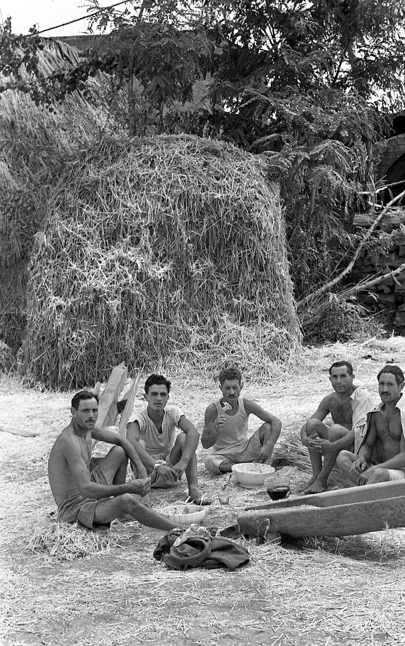 HENNEPVERWERKING, KORTE VERFRISSING door Ando Gilardi