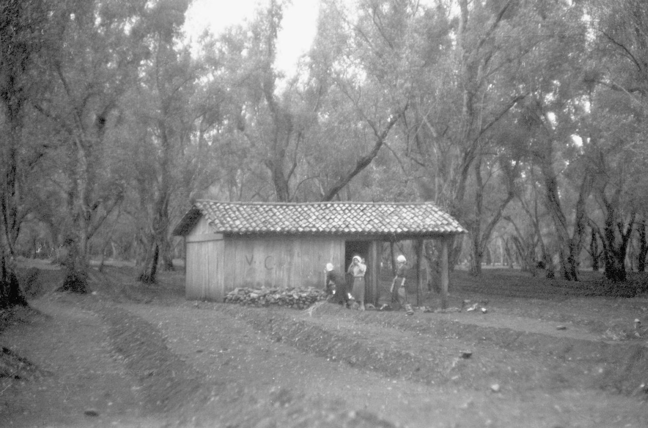 SCHUILPLAATS IN DE OLIJFGAARD door Ando Gilardi