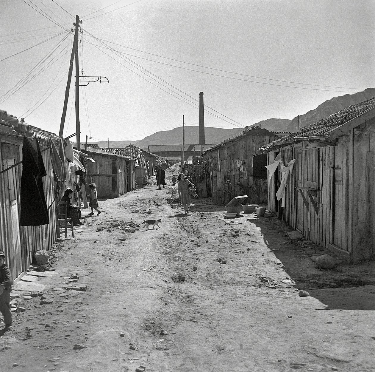 WERKGEBIED door Ando Gilardi