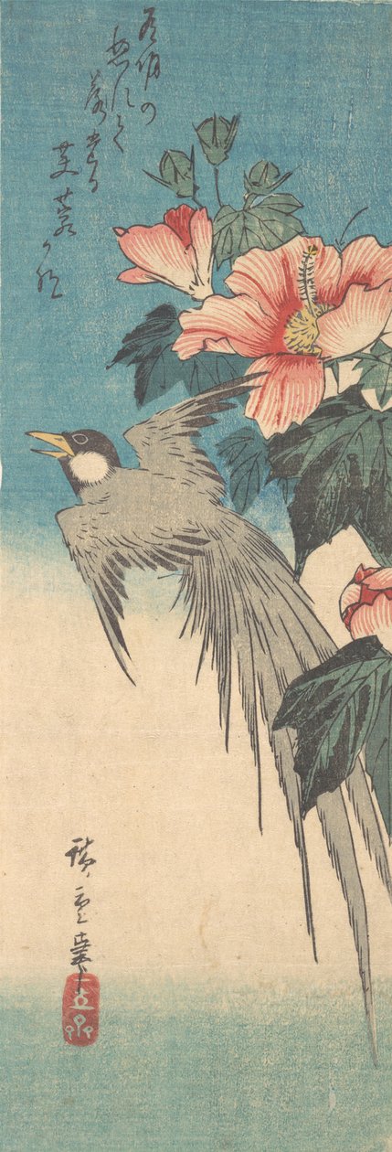 Hibiscus Mutabilis en Langstaartvogel, ca. 1842 door Ando Hiroshige