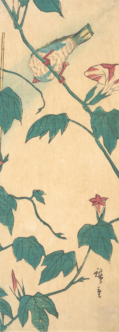 Ochtendglorie en vogel, 1840-50 door Ando Hiroshige