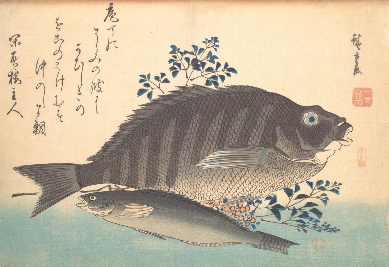 Shimadai en Ainame Vis, uit de serie Uozukushi Elke Soort Vis, 1840s door Ando Hiroshige