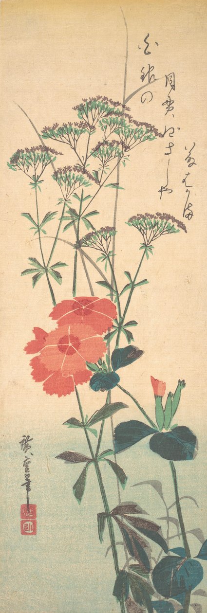 Prachtige anjers en Chinese agrimonie, ca. 1836 door Ando Hiroshige