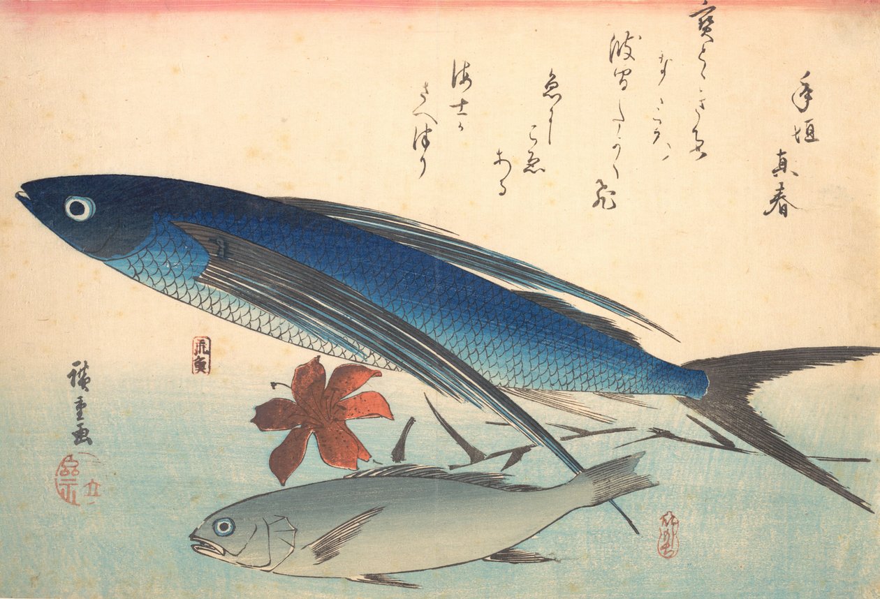 Tobiuo en Ishimochi vis, uit de serie Uozukushi Elke soort vis, 1840s door Ando Hiroshige