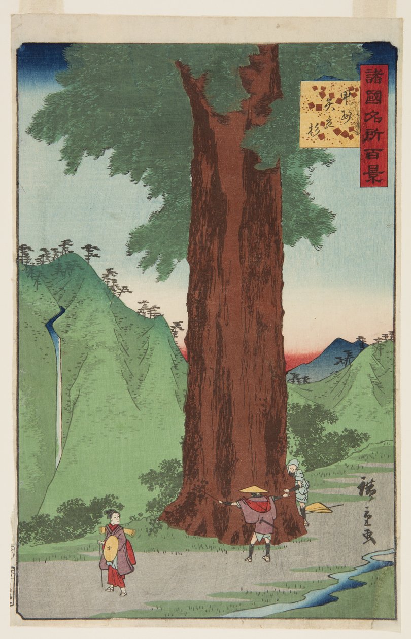 De Yatate-cederboom in de provincie Kai door Ando or Utagawa Hiroshige