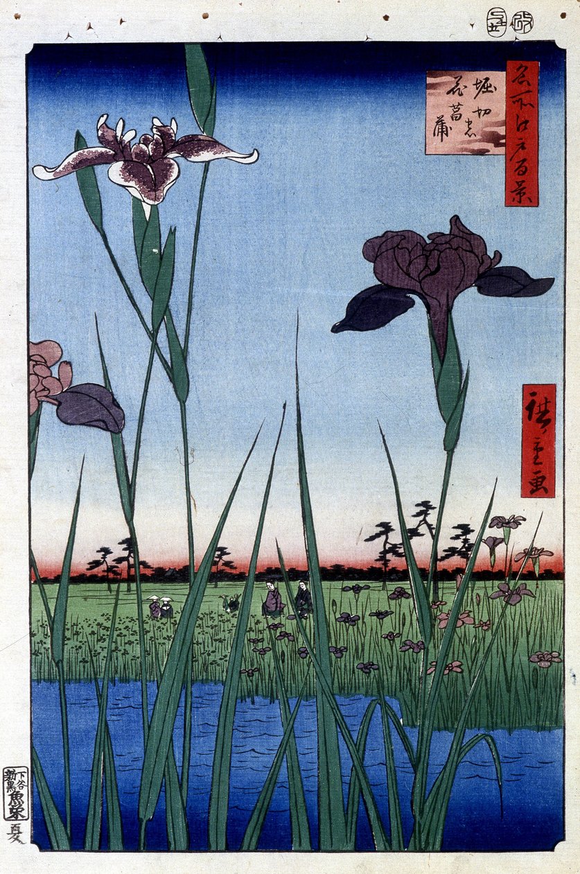 Wateriris - Japanse prent door Utagawa Hiroshige. Honderd gezichten van Edo door Ando or Utagawa Hiroshige