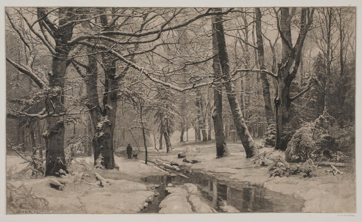 Winterdag in een bos door André Bork