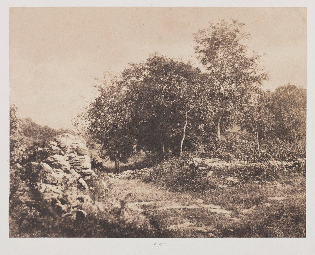Ongetiteld tafereel van Fontainebleau, ca. 1853 door André Giroux